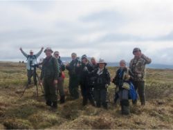 Celebrating Bristle-thighed Curlew on Coffee Dome